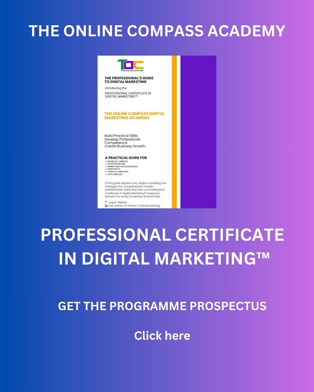 Professional Certificate in Digital Marketing™ prospectus from THE ONLINE COMPASS Academy